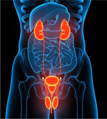 Urology Treatments: Understanding Your Options for Better Health